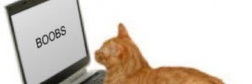 alexredux's profile banner image