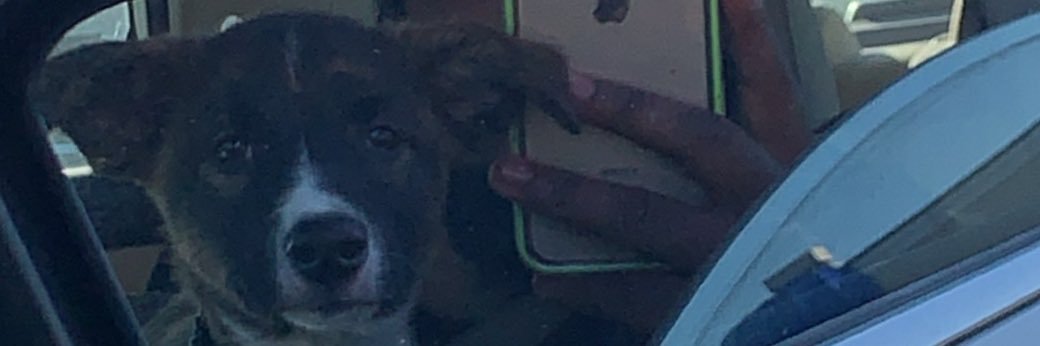 sweetlew54's profile banner image