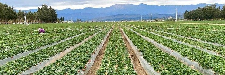 CIC of All Social Media banner