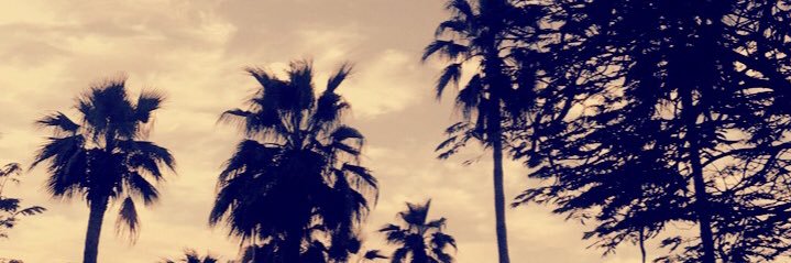 Hassan199150's profile banner image