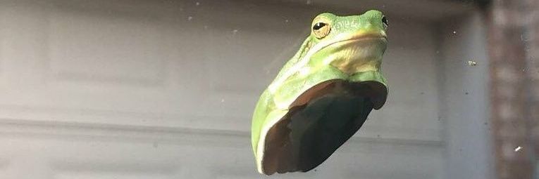 chony136's profile banner image