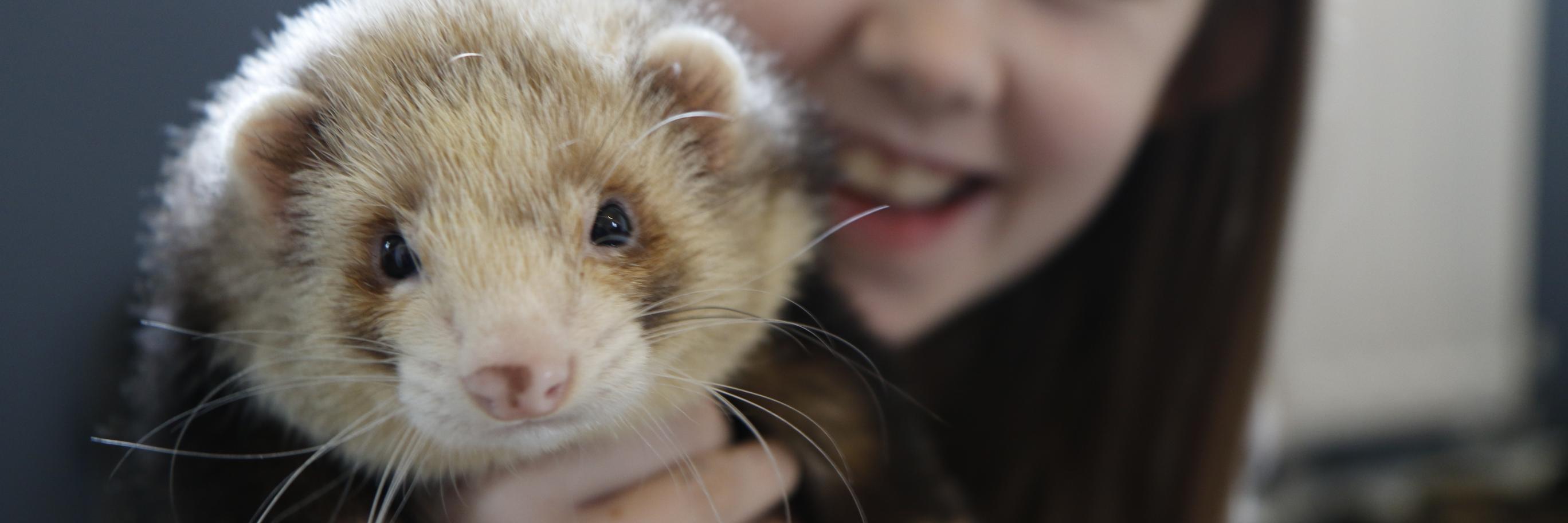 MaxSuperFerret's profile banner image