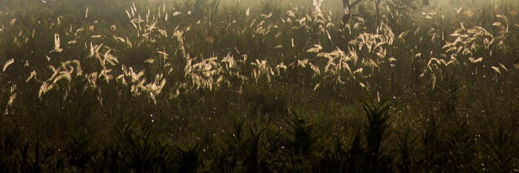 basicallyacidic's profile banner image