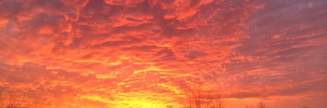 sookie571's profile banner image