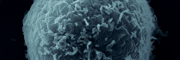 Sistemic Profile Banner