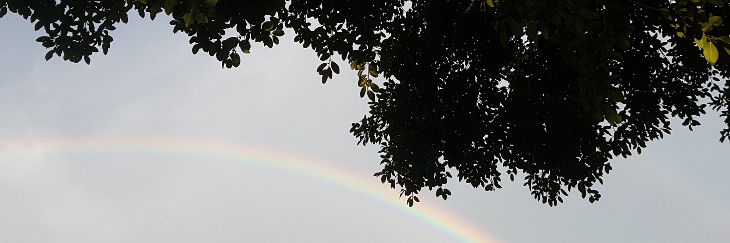 rocknbeck's profile banner image