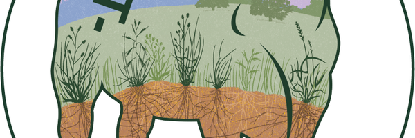 RichardsGrassFD Profile Banner