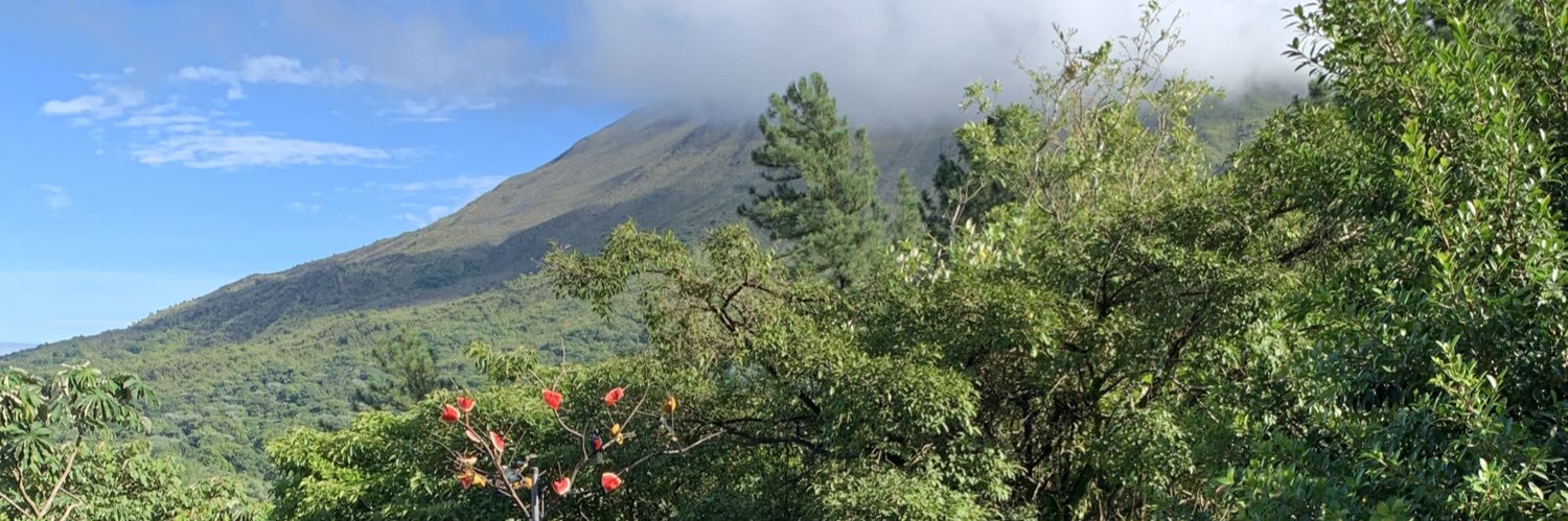 Sarah Henrickson banner