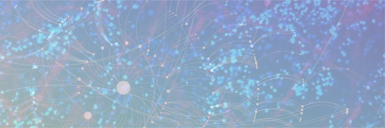 thenancyli's profile banner image