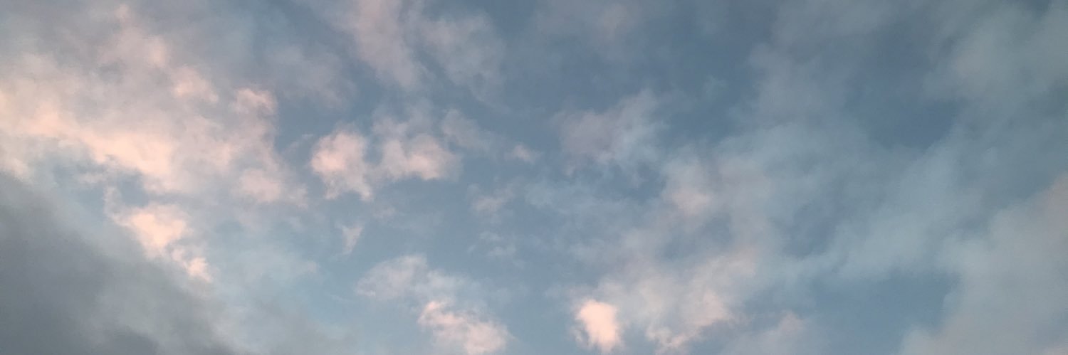 MadisonTollstam's profile banner image