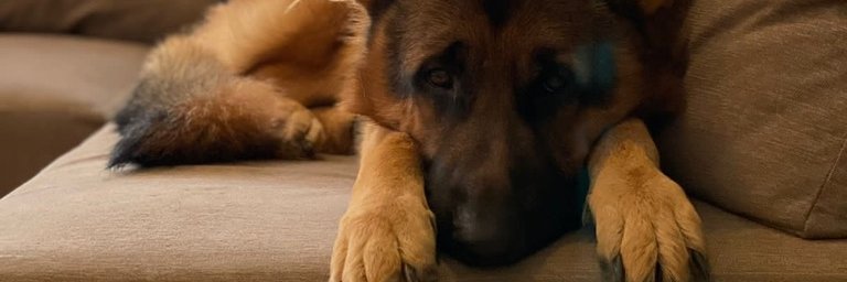 plusminushalf.eth 🐾 banner