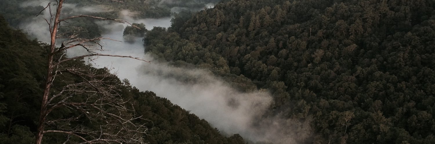 Austin Williams banner