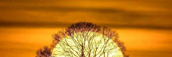 sanjayg06252029 Profile Banner