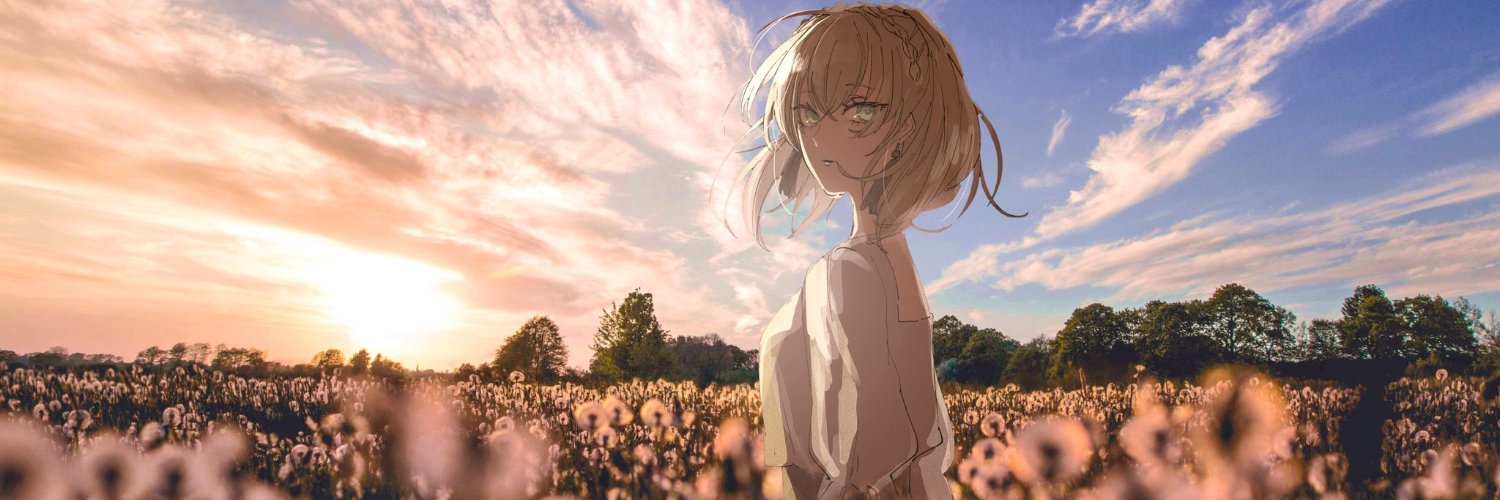 wsviop's profile banner image
