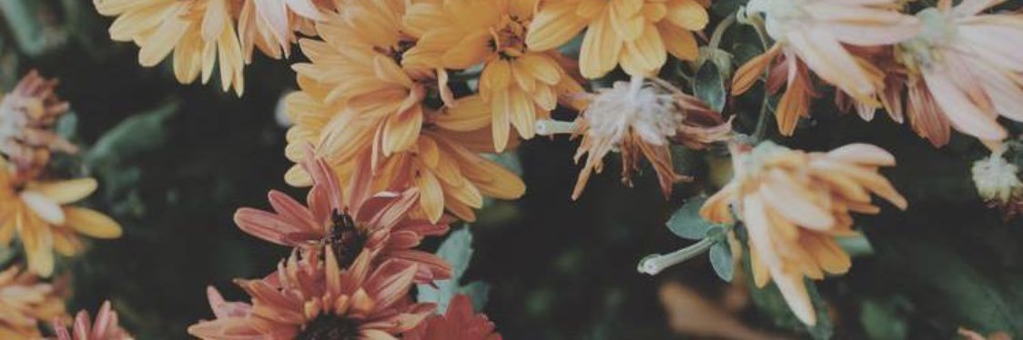 MikaylaaaSarg's profile banner image
