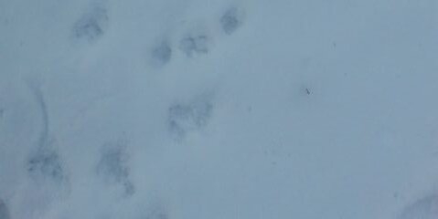 Hunting Ontario banner