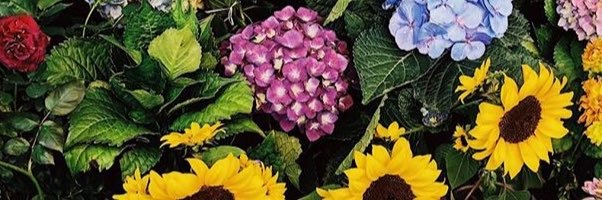 MayRezaC's profile banner image