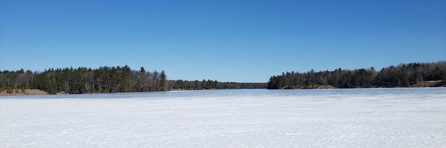 Lepunche's profile banner image