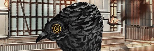 Raven Birbwen banner