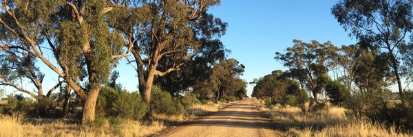 gkachel Profile Banner