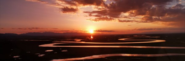 YuanxinDeng Profile Banner