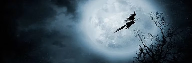avilecon's profile banner image