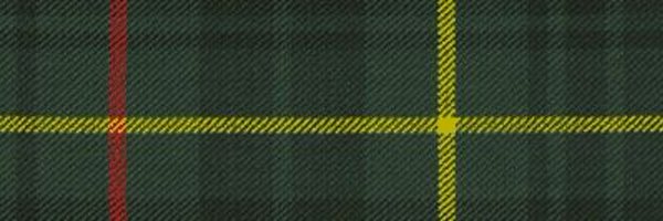 MorganLake20 Profile Banner