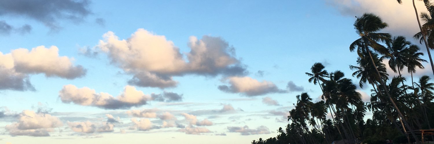 luisapenna_'s profile banner image
