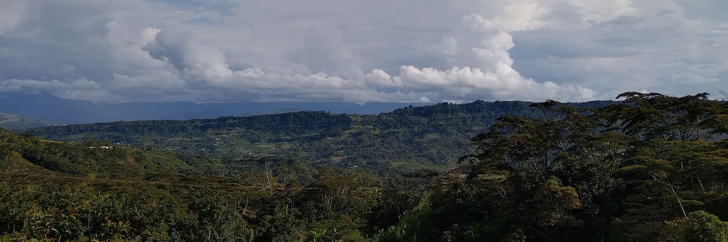 DonEstres's profile banner image