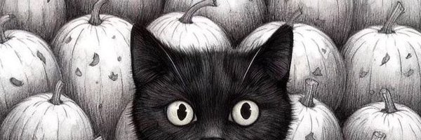 chippiput Profile Banner