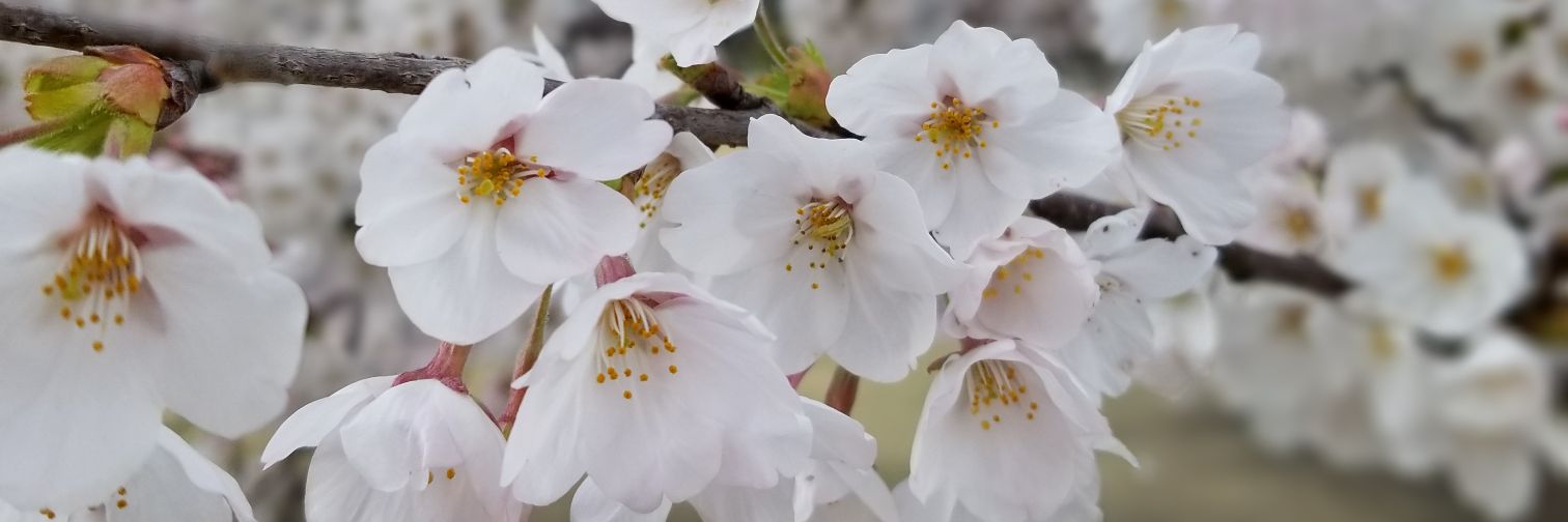 Ad_c34's profile banner image