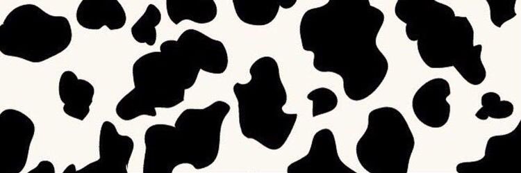troxell_ryann's profile banner image