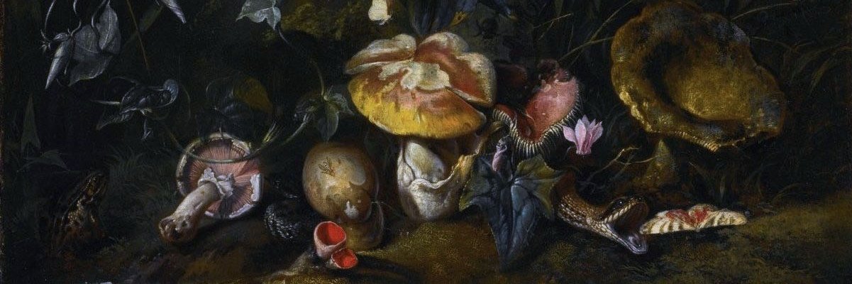 ChloeRPickard's profile banner image