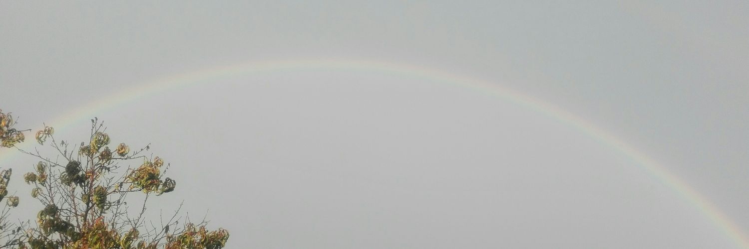 mveronica64's profile banner image