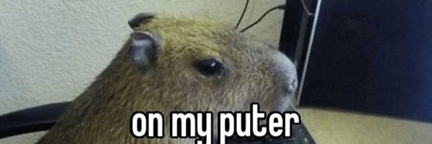 BohanMurphy's profile banner image