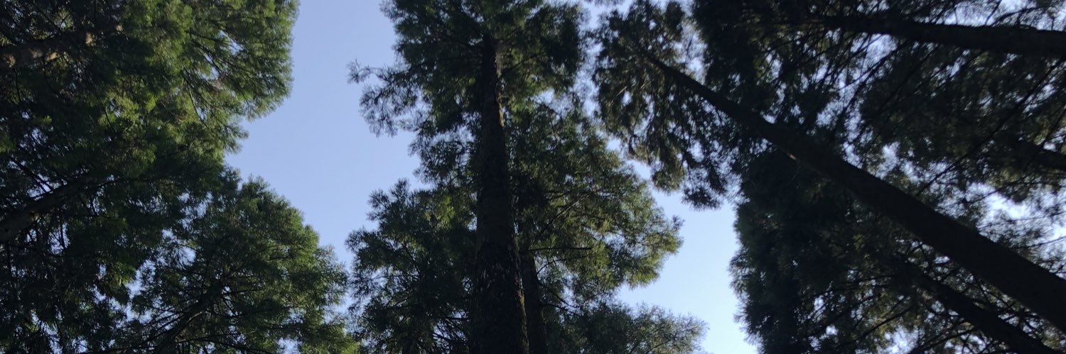 bblues117's profile banner image