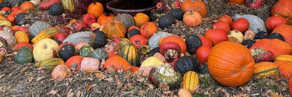 Mirtscham Profile Banner