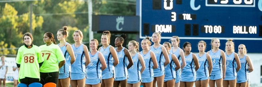 Chesapeake Field Hockey banner