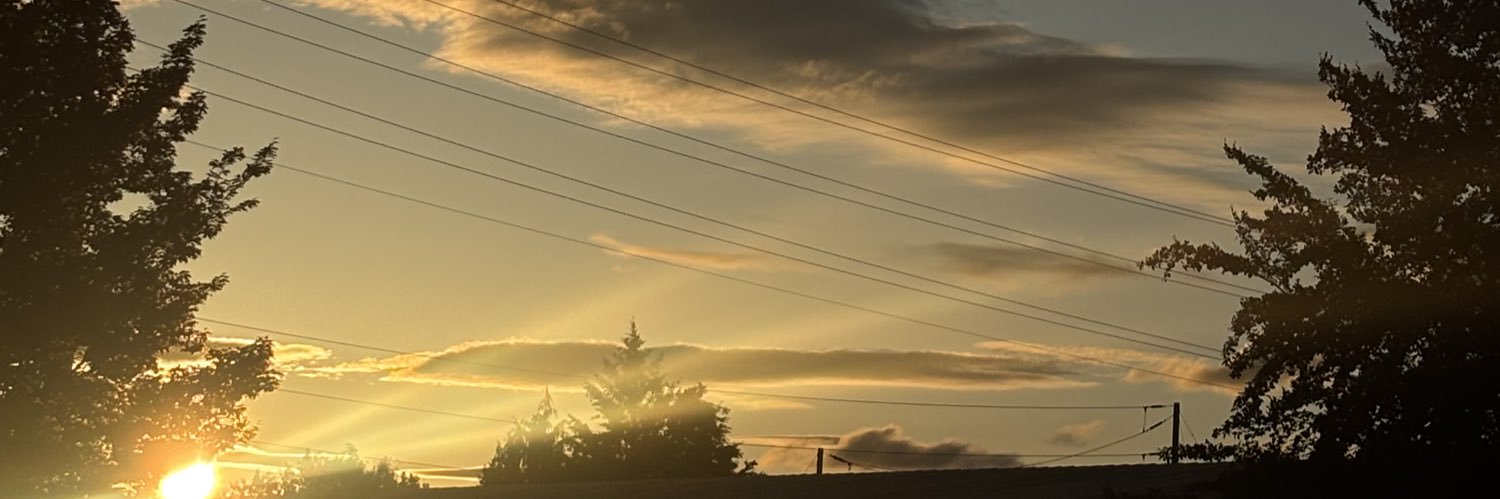izzybiscuit17's profile banner image