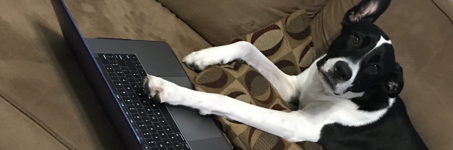 huntergreear's profile banner image