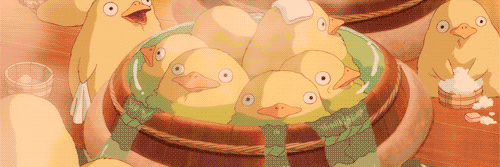 timid_chowder's profile banner image