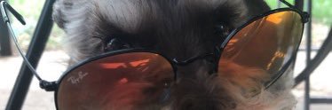 Jagedosh's profile banner image
