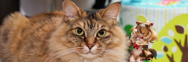 benioch Profile Banner