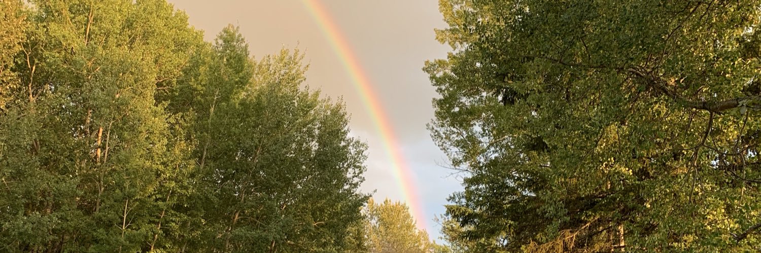 taylor_halbert's profile banner image