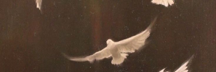 daughterbird's profile banner image