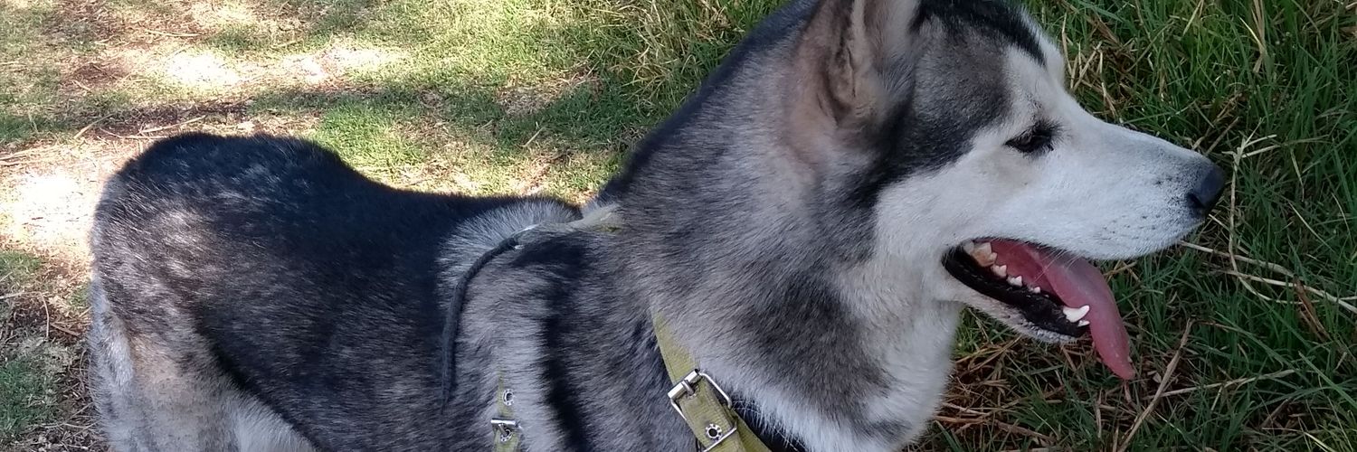 aguebro's profile banner image