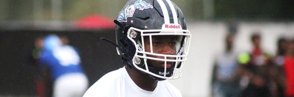 AmariForte Profile Banner