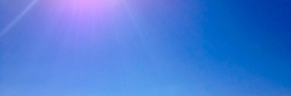 Nevena Trajkov, Ph.D. banner