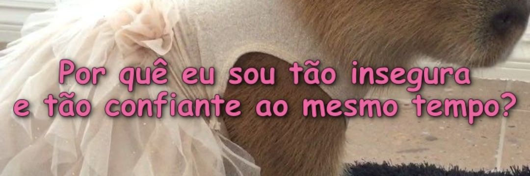 robertocracia's profile banner image