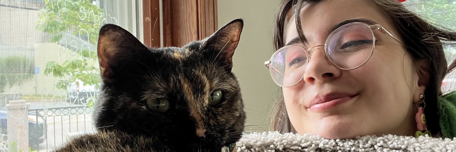 diannydevito's profile banner image